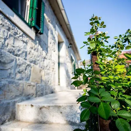 Rebac Dom wakacyjny Gata