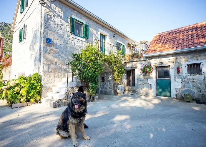 Rebac Σπίτι διακοπών